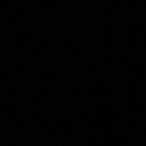 Meet your Posher, Rylie